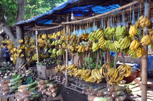 bananas stalls
