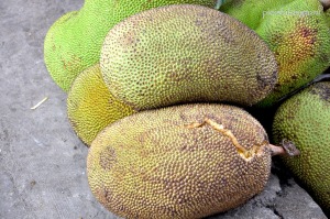 buah nangka